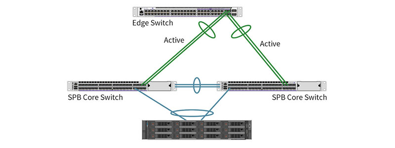 Network Resiliency for Video Surveillance at the Hardware Level
