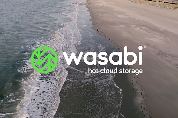 Wasabi logo